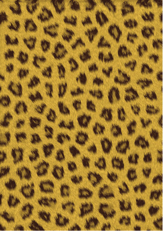 LEOPARD skinのイラスト素材