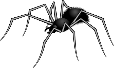 spiderのイラスト素材