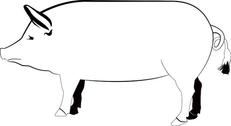 Pigのイラスト素材