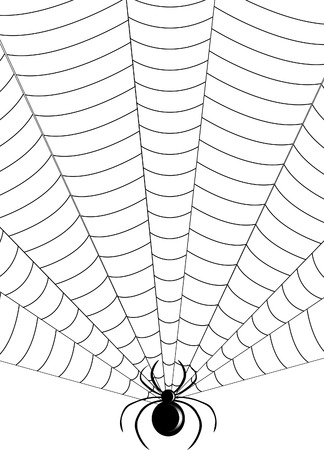 spider webのイラスト素材