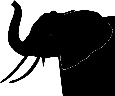 Elephantのイラスト素材