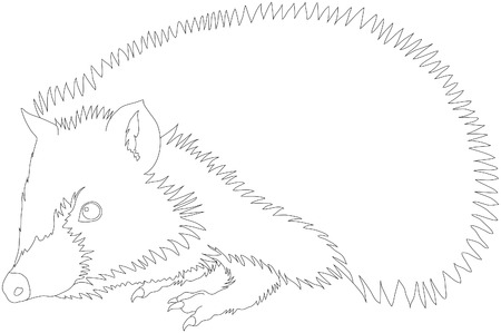 hedgehogのイラスト素材