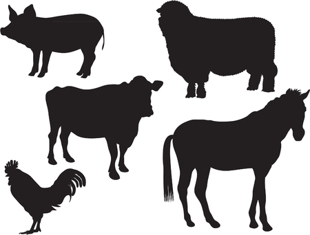 FARM ANIMALSのイラスト素材