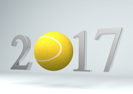 2017 tennis ball