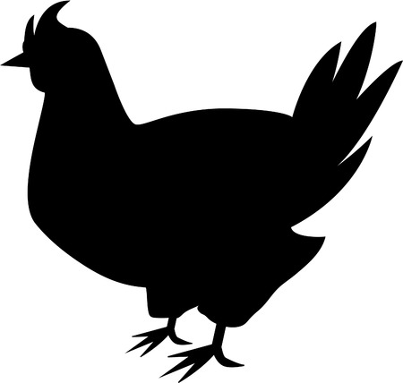 Hen Silhouette isolated on whiteのイラスト素材