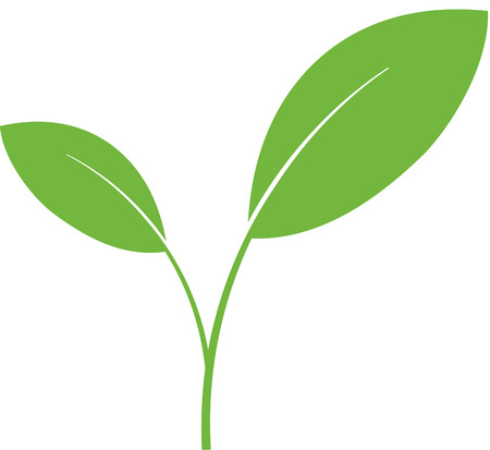 Plant green shootのイラスト素材