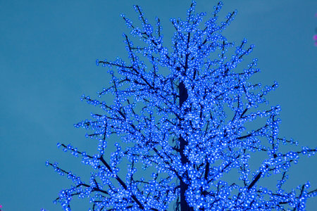 LED Decoration Festival. Concept of energy saving and cool lightの写真素材