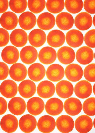 Carrot background on white , back lit .の写真素材