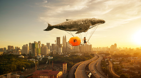 Take me to the dreamの写真素材