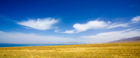 Beautiful lake and yellow fields scenery in Tibet .の写真素材