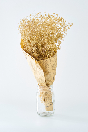 Dried Gypsophila flowers on white background .の写真素材