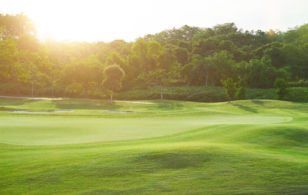 Beautiful wavy grass field with sun flareの写真素材