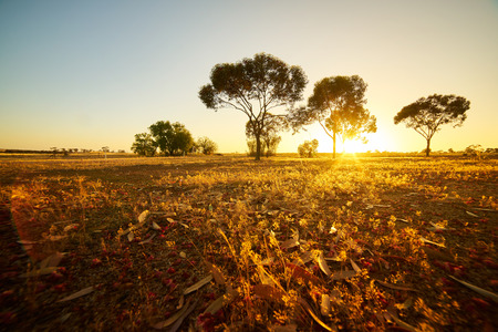 Off-road with dry leaf in the perth , Australia .の写真素材