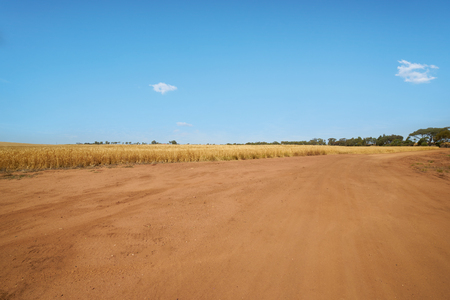 Off-road in the perth , Australia .の写真素材