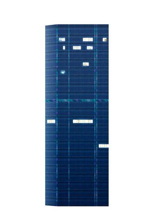 Modern commercial and business skyscraper with neon lights isolated on white background.の写真素材