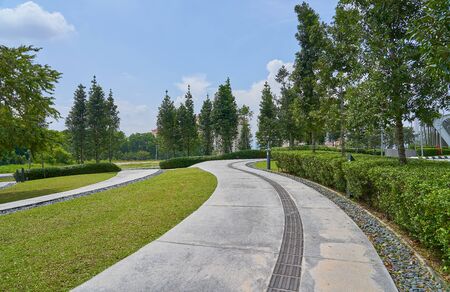 The stone walk path way  in the park with green grass background .の写真素材