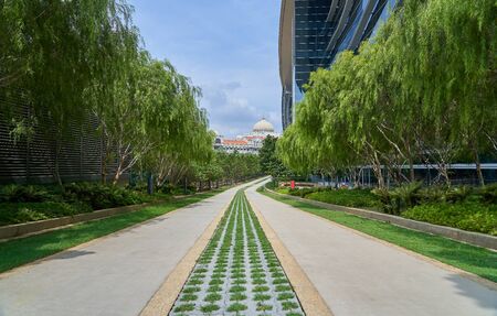 The stone walk path way  in the park with green grass and modern building background .の写真素材