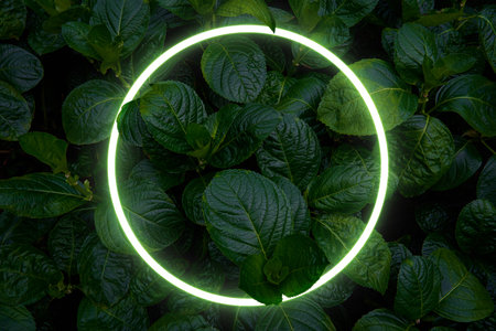 Beautiful and fresh green leaves with circle neon light. creative nature background image for...