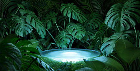 Illuminated display countertop or stage podium with green plants. Beauty and nature Advertising concept use background. 3d renderingの写真素材