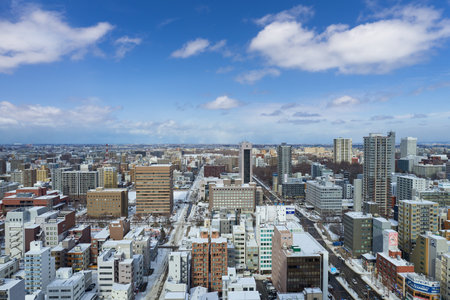 Hokkaido, Japan - December 20, 2022 : Aerial view of cityscape of winter Sapporo, Hokkaido, Japanのeditorial素材