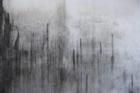 Texture of old dirty concrete wall for background / White stucco wall background. White painted...