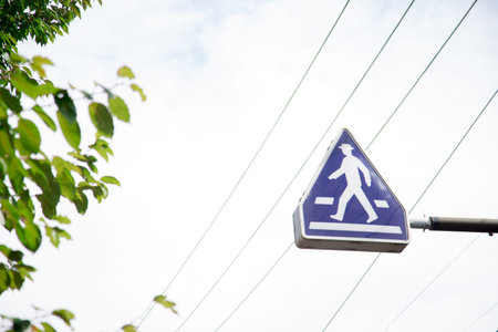 Zebra crossing sign on a pole. Crosswalk sign near the autumn road in Japan