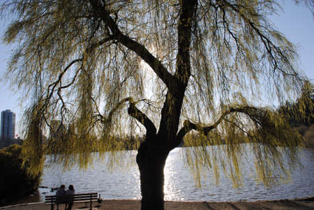 Lover by the Lakeの写真素材