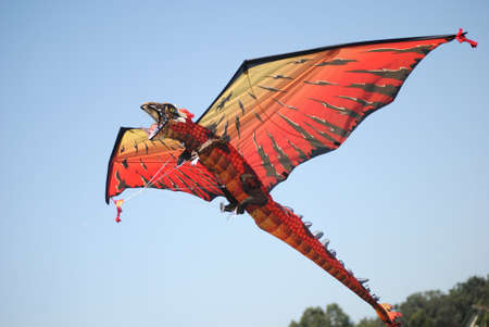 Dragon Kite Roaring to skyの写真素材