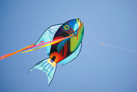 Fish Kite on skyの写真素材
