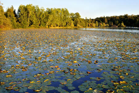 lake at sunsetの写真素材