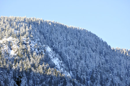 snow-capped mountain at sunsetの写真素材