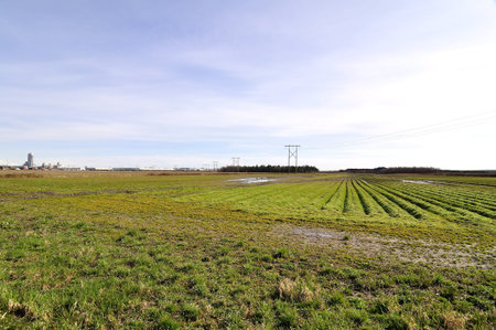 wide field of a farm