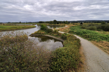 wandering river bank