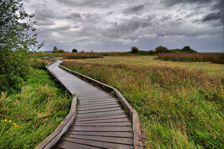 wooden footbridge in the rainの写真素材