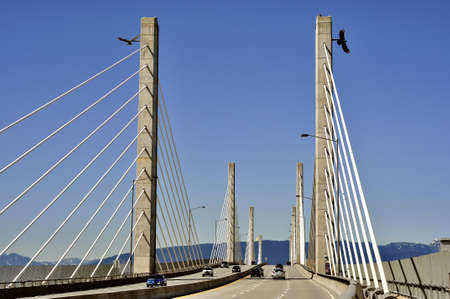 Golden Ears Bridgeの写真素材