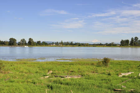 Grass, river and snow mountainの写真素材