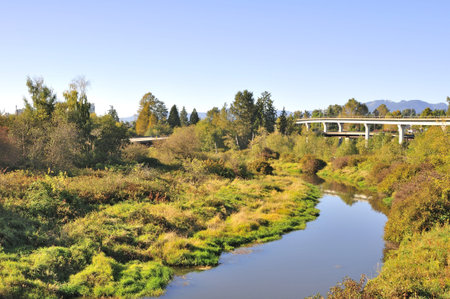 meadows, river, highway and skytrain railway