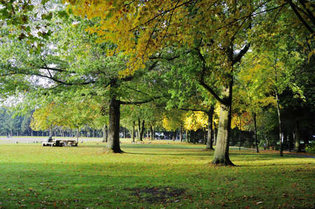 Park in an autumn morningの写真素材