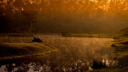 Morning golden hourのeditorial素材