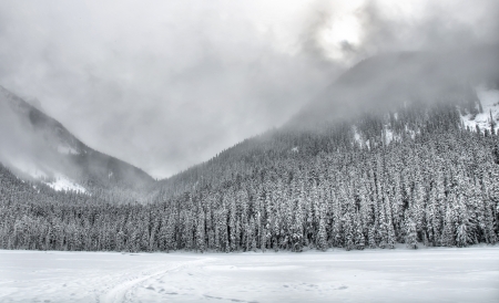 Beautifully simple snow covered mountain trees with clouds の写真素材