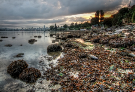 Grey cloudy Vancouver morning from shoreの写真素材