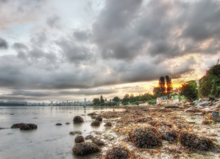 Warm Bright Vancouver Morningの写真素材