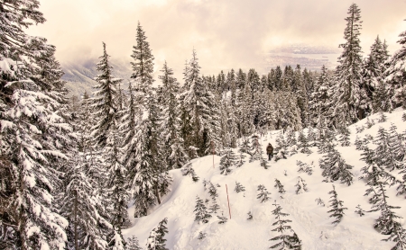 Snow filled landscape with people snowshoeing in up a mountainの写真素材