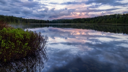 Serene lake reflection with purple sky and foreground plantsの写真素材