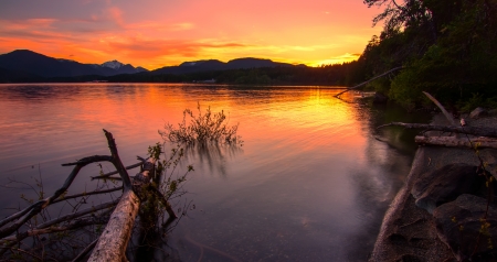Sunset reflect in lake with mountains in distance and log in the waterの写真素材
