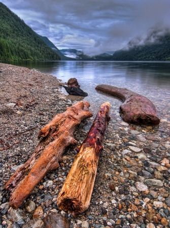 Logs along lake shore with distant cloudsの写真素材