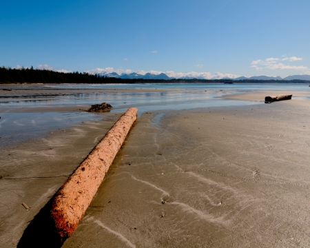 Log on the beach with clear skiesの写真素材