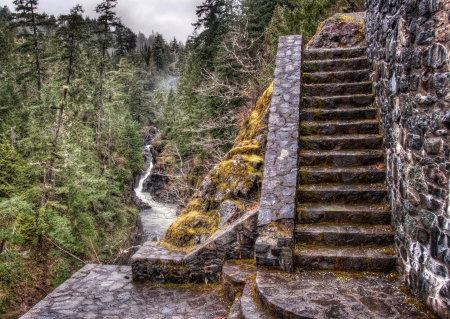Next to a river are stone stairs in a forest の写真素材