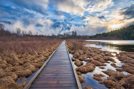 Lake and sunset with boardwalk leading into forest.