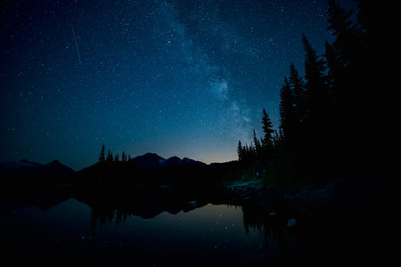 Forest and Lake below the milky way